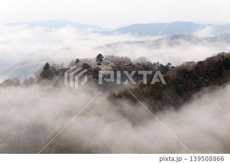 冬の雲海と備中松山城（天空の山城）25716 139508866