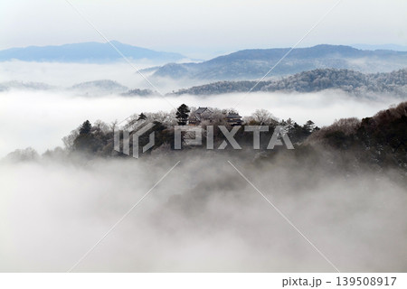 冬の雲海と備中松山城（天空の山城）25334 139508917