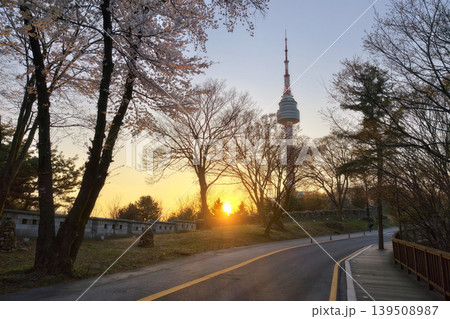 Namsan park street by wall and cherry blossom to Seoul tower at sunset Namsan park street by wall and cherry blossom to Seoul tower at sunset 139508987