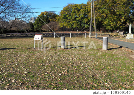 武蔵国分寺跡 中門・金堂間の幢竿遺構(東京都国分寺市) 武蔵国分寺跡 中門・金堂間の幢竿遺構(東京都国分寺市) 139509140