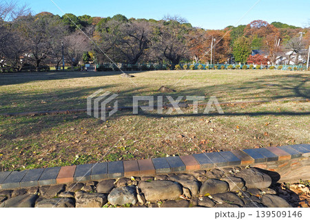 武蔵国分寺跡（東京都国分寺市） 139509146