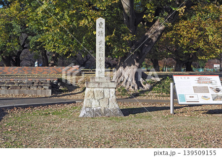 武蔵国分寺跡の史跡碑(東京都国分寺市) 武蔵国分寺跡の史跡碑(東京都国分寺市) 139509155