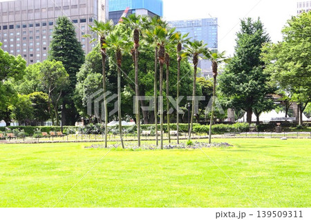 緑のある公園 緑のある公園 139509311