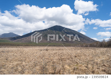 戦場ヶ原から見た日光男体山(奥日光) 戦場ヶ原から見た日光男体山(奥日光) 139509614