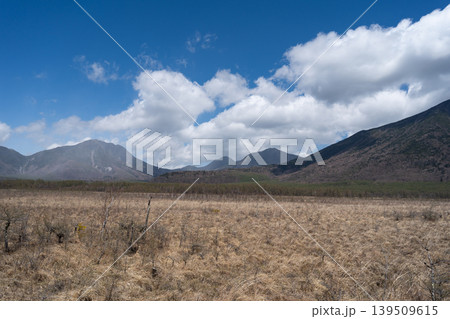 戦場ヶ原から見た日光の山塊(奥日光) 戦場ヶ原から見た日光の山塊(奥日光) 139509615
