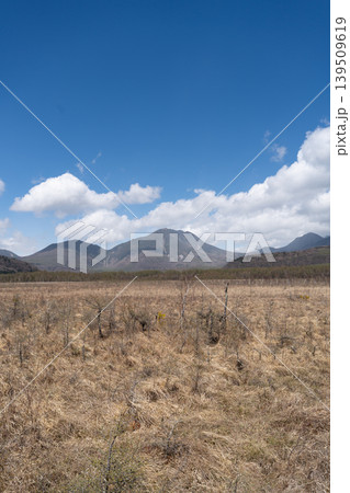 戦場ヶ原から見た大真名子山(奥日光) 戦場ヶ原から見た大真名子山(奥日光) 139509619