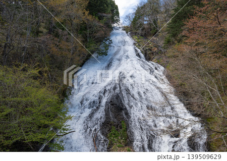 湯滝(奥日光) 湯滝(奥日光) 139509629