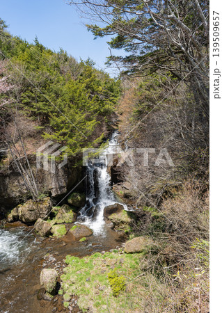 竜頭の滝(奥日光) 竜頭の滝(奥日光) 139509657