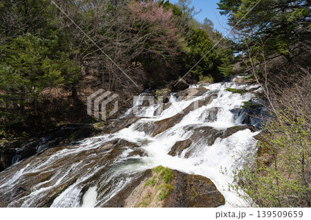 竜頭の滝(奥日光) 竜頭の滝(奥日光) 139509659