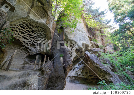 大型タフォニ岩石と鳥居・緑豊かな植生がある日本の洞窟神社 大型タフォニ岩石と鳥居・緑豊かな植生がある日本の洞窟神社 139509756