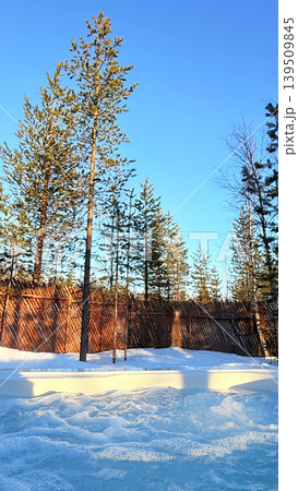 Snowy Pine Forest View from Outdoor Jacuzzi Pool in Lapland Finland 139509845