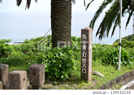 日向馬ケ背の海 139510138