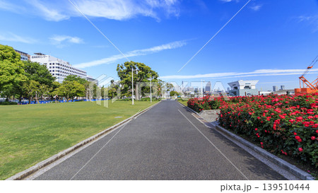 山下公園のバラ 山下公園のバラ 139510444