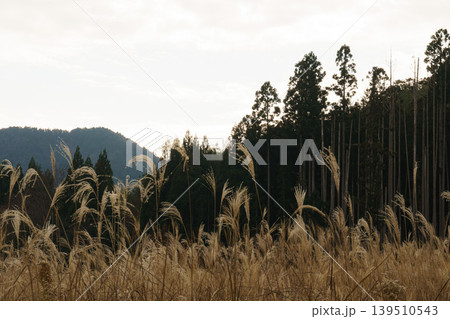 晩秋の風景 晩秋の風景 139510543