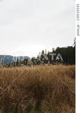 晩秋の風景 晩秋の風景 139510545