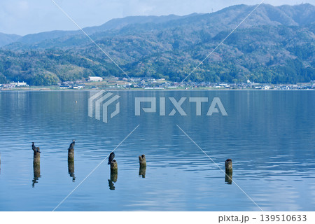 鵜 う 景色 139510633