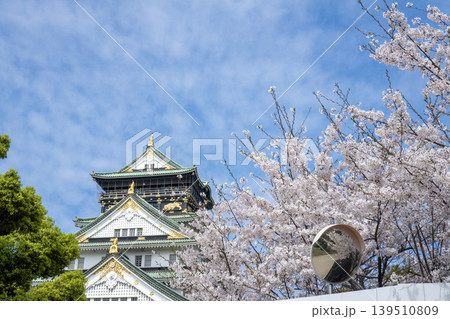 青空に浮かぶ大阪城天守閣を桜の枝が彩る 青空に浮かぶ大阪城天守閣を桜の枝が彩る 139510809
