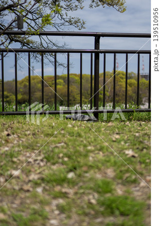 鉄柵越しに広がる新緑の木々と公園の芝生 鉄柵越しに広がる新緑の木々と公園の芝生 139510956
