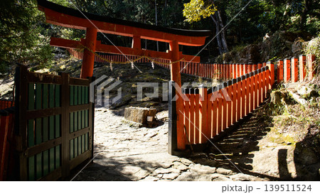 熊野速玉大社元宮 神倉神社参道 和歌山県 熊野速玉大社元宮 神倉神社参道 和歌山県 139511524