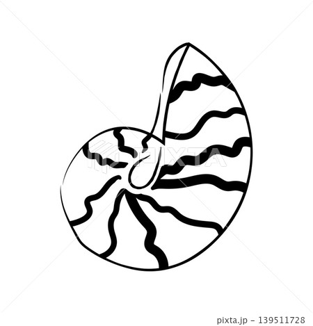 Hand drawn striped spiral shell vector illustration line art sea element Hand drawn striped spiral shell vector illustration line art sea element 139511728