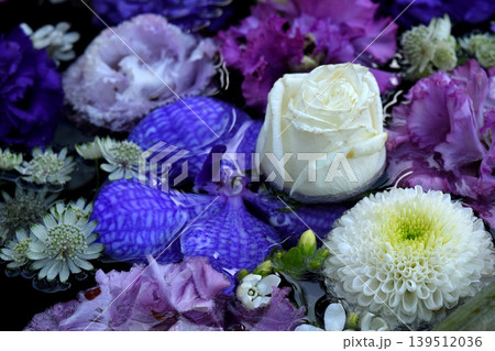 花手水の花 139512036
