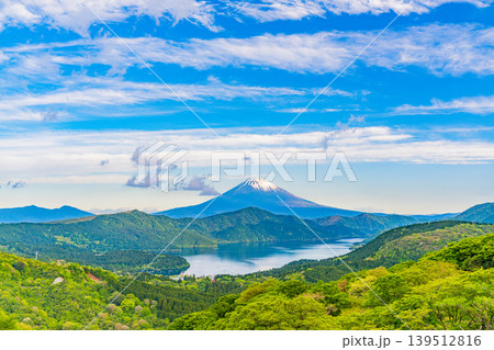 （神奈川県）新緑の箱根から富士山を望む 139512816