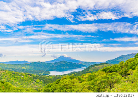 (神奈川県)新緑の箱根から富士山を望む (神奈川県)新緑の箱根から富士山を望む 139512817