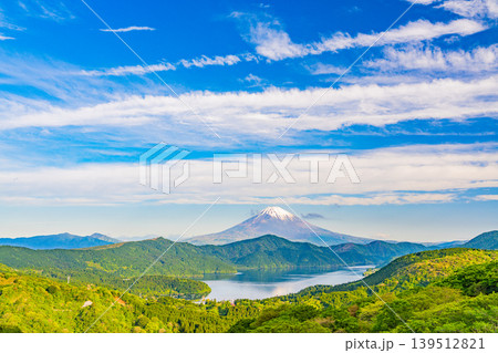 （神奈川県）新緑の箱根から富士山を望む 139512821