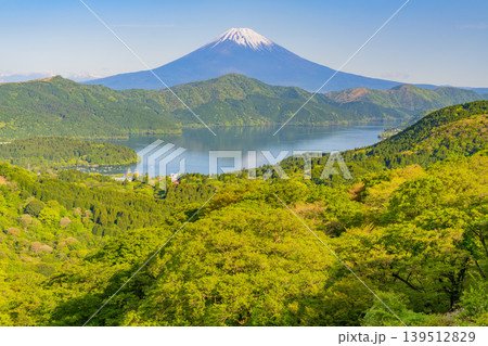 (神奈川県)新緑の箱根から富士山を望む (神奈川県)新緑の箱根から富士山を望む 139512829