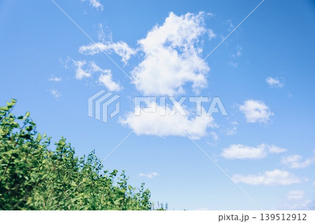爽やかな夏の青空と草原 139512912
