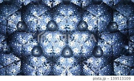 万華鏡10 万華鏡10 139513109