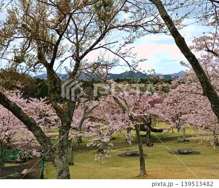 初春の公園の風景 初春の公園の風景 139513482