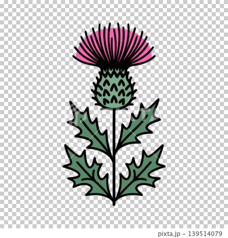 Simple thistle color icon Simple thistle color icon 139514079