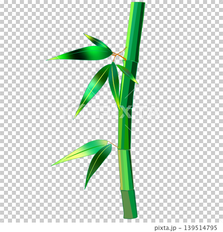 竹の葉と枝イラスト 139514795