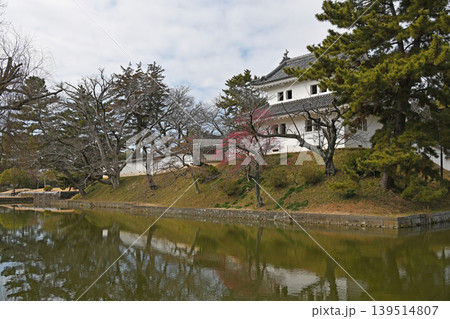 土浦城の西櫓と水堀 鏡のような水面に映る白壁が際立つ伝統美の情景 土浦城の西櫓と水堀 鏡のような水面に映る白壁が際立つ伝統美の情景 139514807