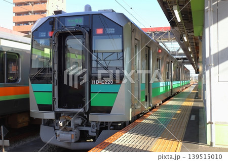 八高線HB-E220系(非電化区間:高麗川⇔高崎) 八高線HB-E220系(非電化区間:高麗川⇔高崎) 139515010