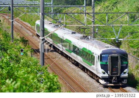 あしがらフラワーパークへのアクセス列車 あしがら大藤大船号 あしがらフラワーパークへのアクセス列車 あしがら大藤大船号 139515322