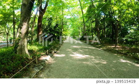 緑に囲まれた神社への道 139515419