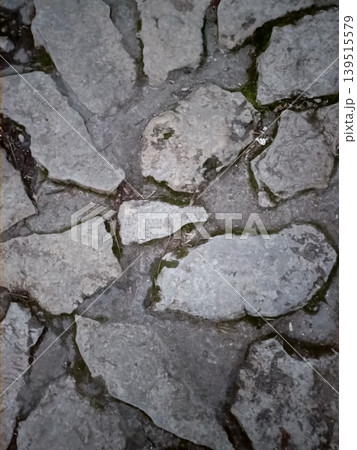 Texture of an old stone path moss plant high-quality photo Texture of an old stone path moss plant high-quality photo 139515579