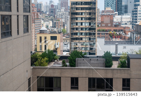 New york, usa august 17,2024. Looking down at a green rooftop terrace with trees and plants amidst the dense urban landscape of manhattan, new york city 139515643