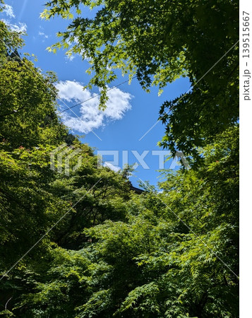 青空と新緑が美しい京都の景観 139515667