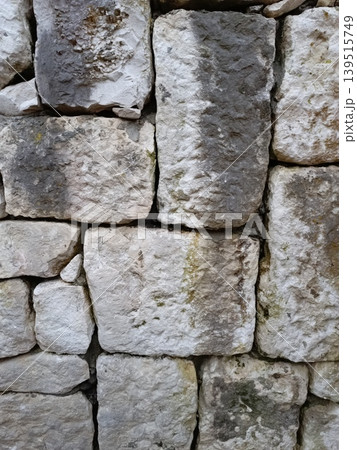 Texture of an old stone path moss plant high-quality photo Texture of an old stone path moss plant high-quality photo 139515749