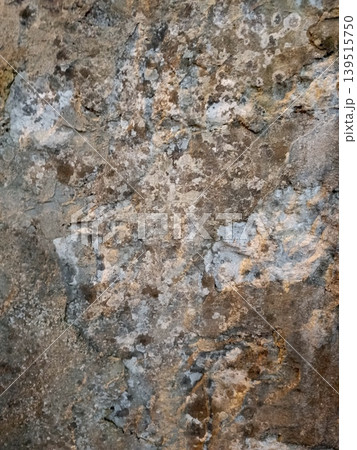 Texture of an old stone path moss plant high-quality photo Texture of an old stone path moss plant high-quality photo 139515750