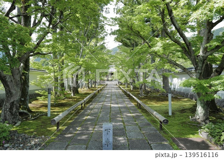新光明寺 新光明寺 139516116