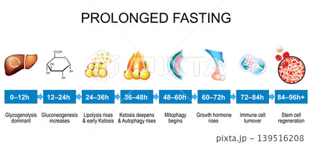 Biological stages of fasting from glycogenolysis to stem cell renewal. Prolonged fasting Biological stages of fasting from glycogenolysis to stem cell renewal. Prolonged fasting 139516208