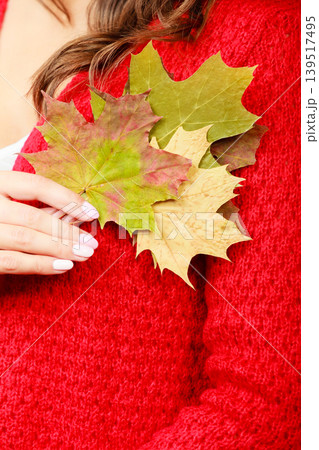 autumnal girl with maple leaves in hand 139517495