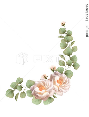 Hand drawn illustration of an elegant floral corner with soft white roses and green eucalyptus foliage. Isolated on white background. Botanical decorative element with buds for wedding invitations 139518045
