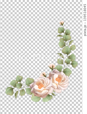 Hand drawn illustration of an elegant floral corner with soft white roses and green eucalyptus foliage. Isolated on white background. Botanical decorative element with buds for wedding invitations Hand drawn illustration of an elegant floral corner with soft white roses and green eucalyptus foliage. Isolated on white background. Botanical decorative element with buds for wedding invitations 139518045
