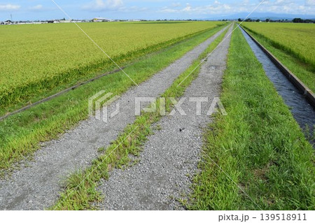 農道と田園風景 山形県庄内 農道と田園風景 山形県庄内 139518911