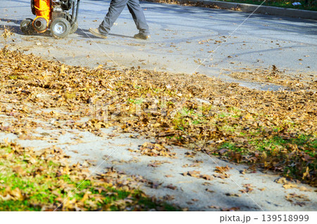 People use leaf blower to clean street covered in autumn leaves in neighborhood People use leaf blower to clean street covered in autumn leaves in neighborhood 139518999